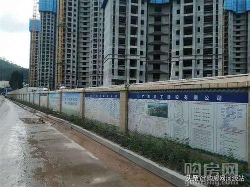 河源最新爆料,揭秘神秘事件背后的真相  第3张