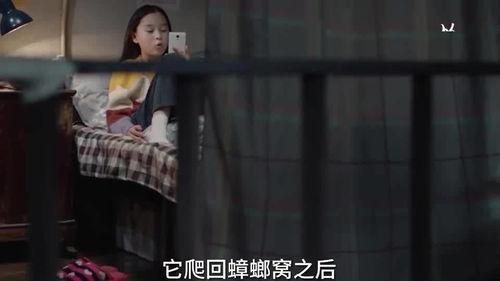 番薯姐姐爆料视频在线观看,揭秘幕后真相，带你走进事件核心  第2张